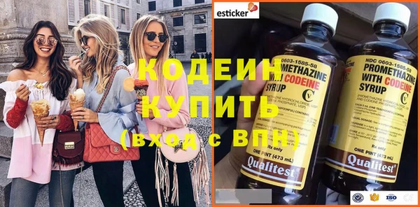 ECSTASY Гусь-Хрустальный