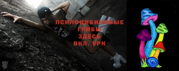 метадон Гусев