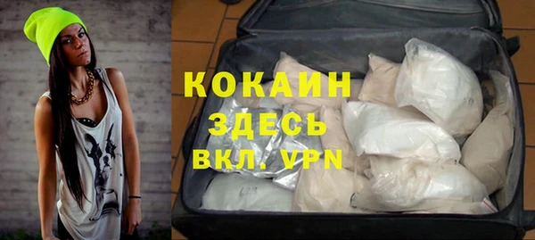 ECSTASY Гусь-Хрустальный