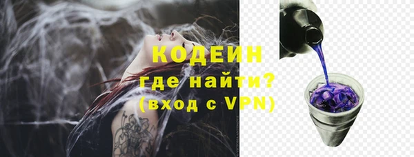 ECSTASY Гусь-Хрустальный