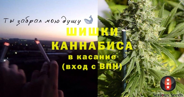 ECSTASY Гусь-Хрустальный
