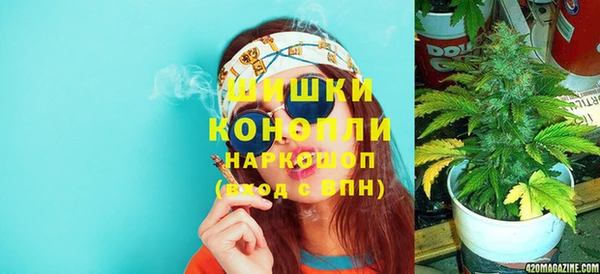 ECSTASY Гусь-Хрустальный