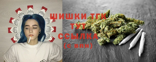 метадон Гусев