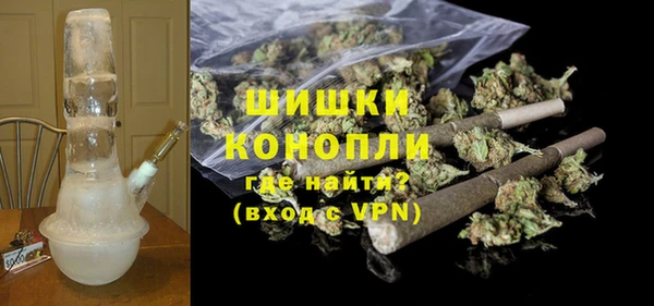 ECSTASY Гусь-Хрустальный