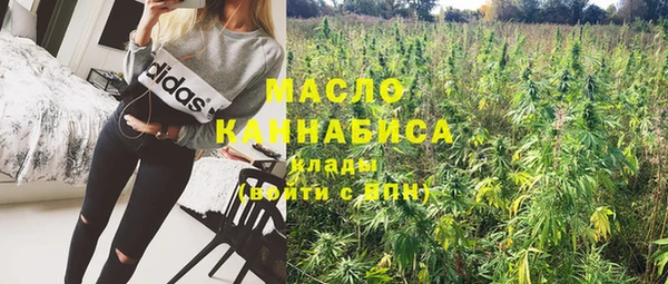 ECSTASY Гусь-Хрустальный